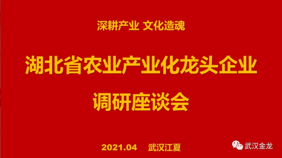 省農業產業化龍頭企業調研座談會在武漢金龍集團會議室順利召開